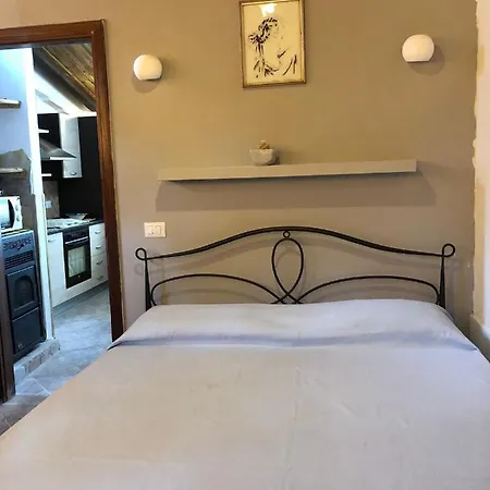 Degli Ulivi